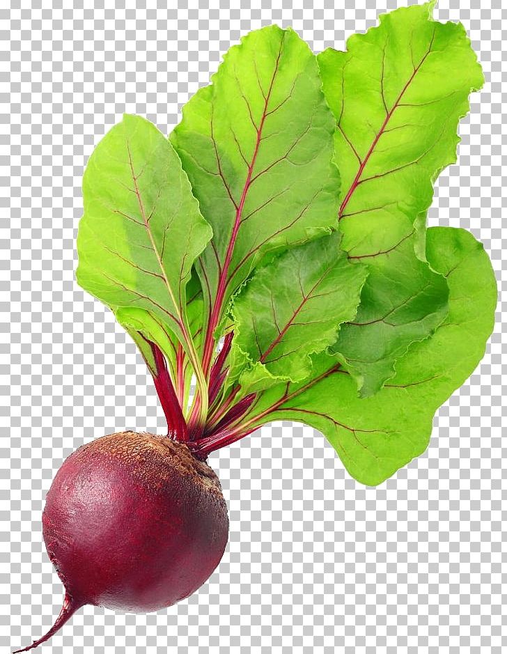 Chard Beetroot Vegetable Food Vegetarian Cuisine PNG, Clipart, Beet, Beet Png, Beetroot, Chard, Common Beet Free PNG Download