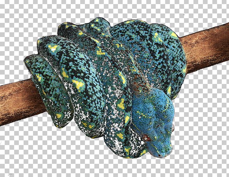 Turquoise Reptile PNG, Clipart, Gemstone, Jewellery, Others, Reptile, Turquoise Free PNG Download