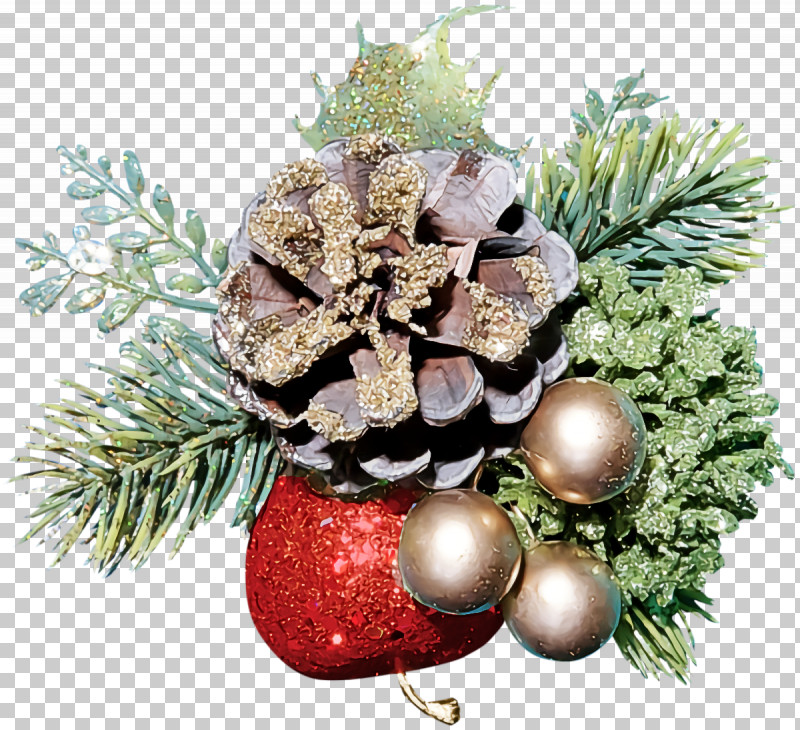Christmas Ornaments Christmas Decoration Christmas PNG, Clipart, Branch, Christmas, Christmas Decoration, Christmas Ornament, Christmas Ornaments Free PNG Download