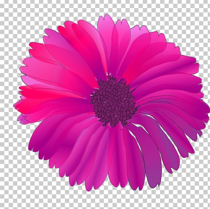 Pink Flowers Purple PNG, Clipart, Chrysanths, Copyright, Cut Flowers, Daisy Family, Flower Free PNG Download
