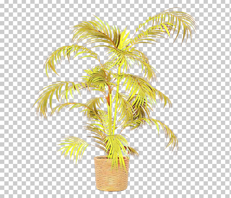 Palm Tree PNG, Clipart, Arecales, Coconut, Flowerpot, Grass, Houseplant Free PNG Download