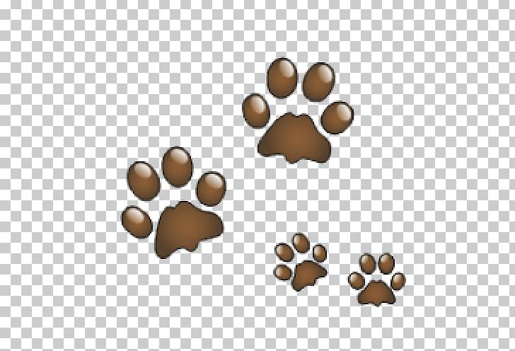 Cat Bear Dog Paw PNG, Clipart, Animals, Animal Track, Bear, Brown, Cat Free PNG Download