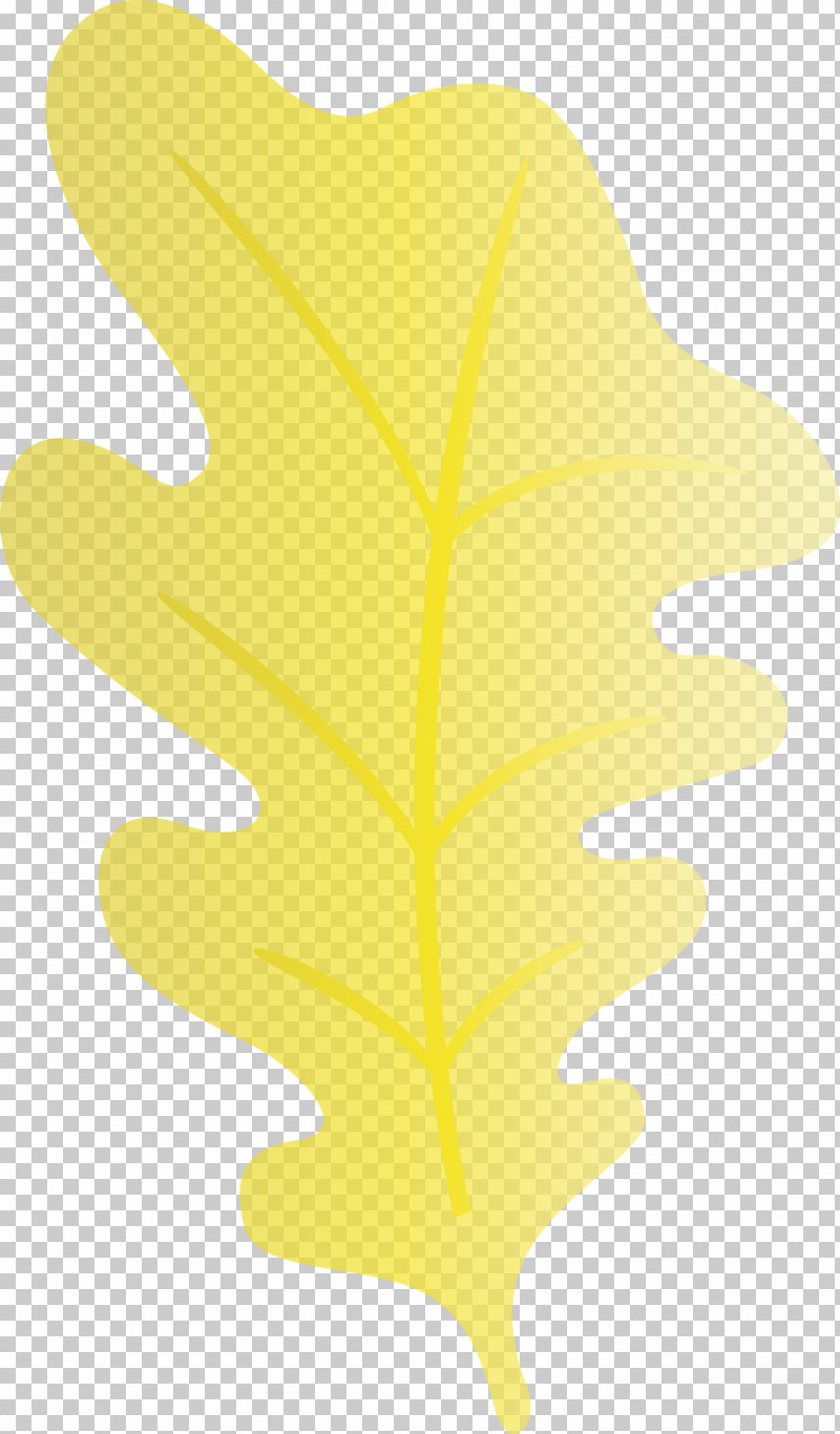 Leaf Tree Yellow Meter Line PNG, Clipart, Biology, Geometry, Leaf, Line, Mathematics Free PNG Download