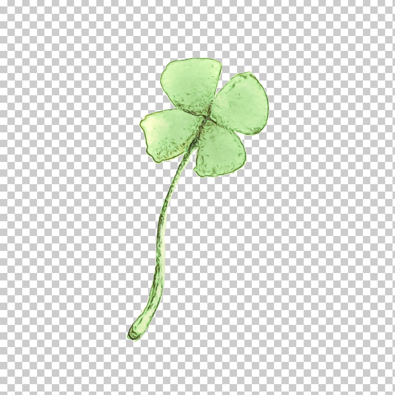 Shamrock PNG, Clipart, Clover, Flower, Green, Leaf, Legume Family Free PNG Download