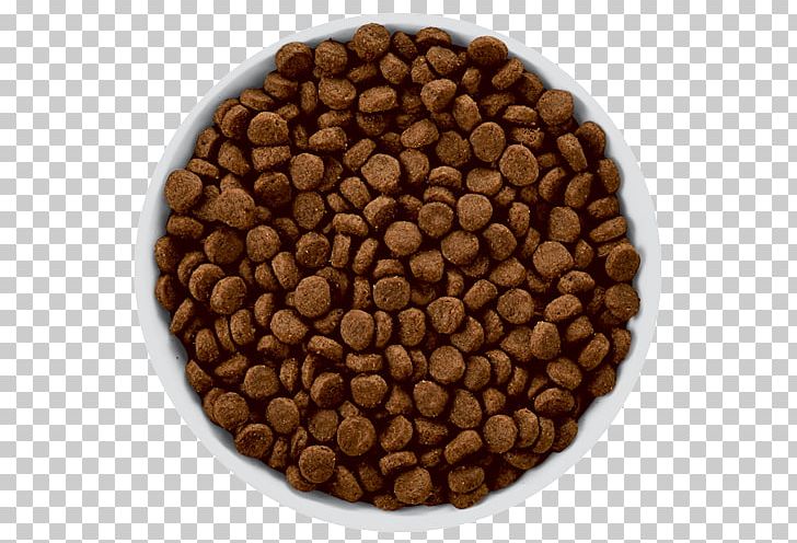 Dog Food Hill's Pet Nutrition Pet Food PNG, Clipart,  Free PNG Download