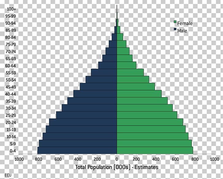 Bolivia Population Pyramid World Population Demography PNG, Clipart, Birth Rate, Bolivia, Cone, Demographic Transition, Demography Free PNG Download