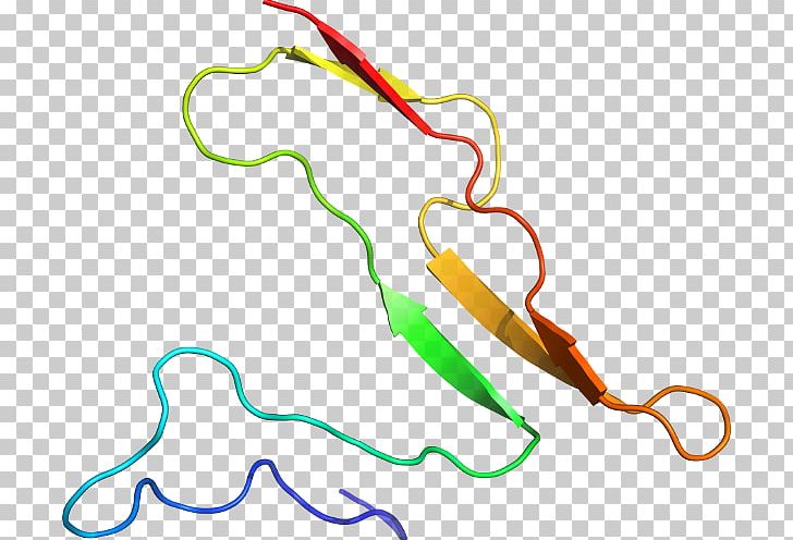 Line Point Organism PNG, Clipart, Area, Art, Interleukin2, Line, Organism Free PNG Download