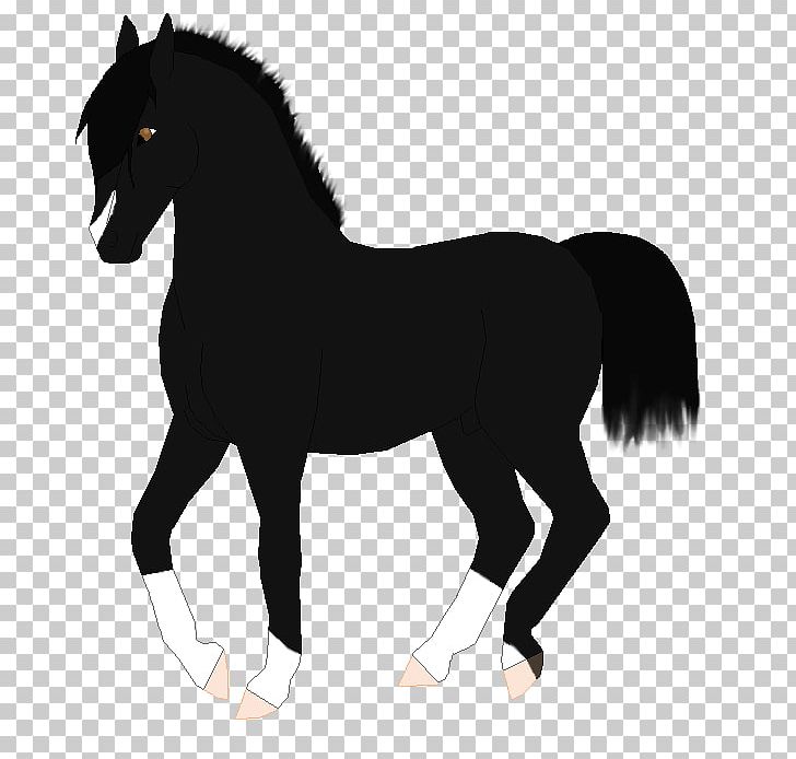 Mane Mustang Foal Mare Stallion PNG, Clipart,  Free PNG Download