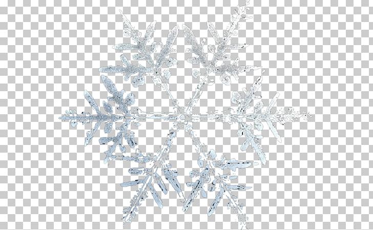 Snowflake Adobe Fireworks PNG, Clipart, Adobe Fireworks, Animation, Branch, Computer Icons, Line Free PNG Download
