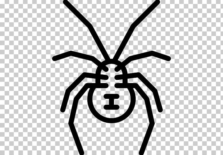 Spider Insect Southern Black Widow PNG, Clipart, Animal, Arachnid, Artwork, Black And White, Computer Icons Free PNG Download