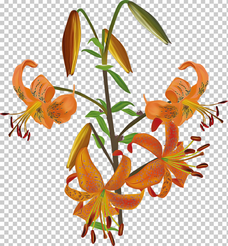 Lily Flower PNG, Clipart, Amaryllis, Cut Flowers, Floral Design, Flower, Flower Bouquet Free PNG Download