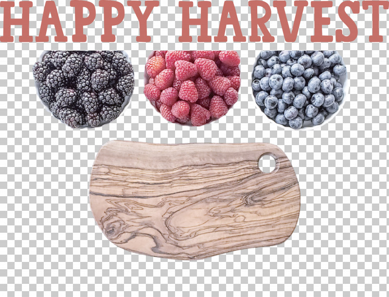 Happy Harvest Harvest Time PNG, Clipart, Berry, Blackberries, Blueberries, Fruit, Happy Harvest Free PNG Download