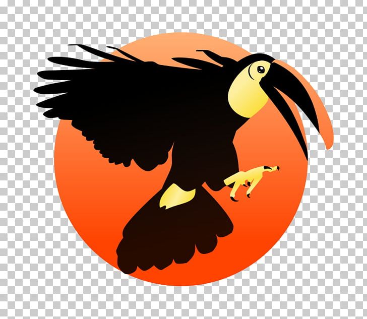 Bird Toucan Beak Animal PNG, Clipart, 20180210, Animal, Animals, Bald Eagle, Beagle Free PNG Download