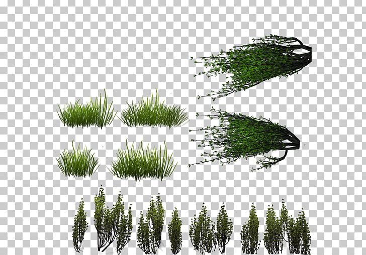 Sprite Lawn Texture Mapping PlayStation 3 Minecraft PNG, Clipart, Alpha Channel, Color, Evergreen, Food Drinks, Garden Free PNG Download