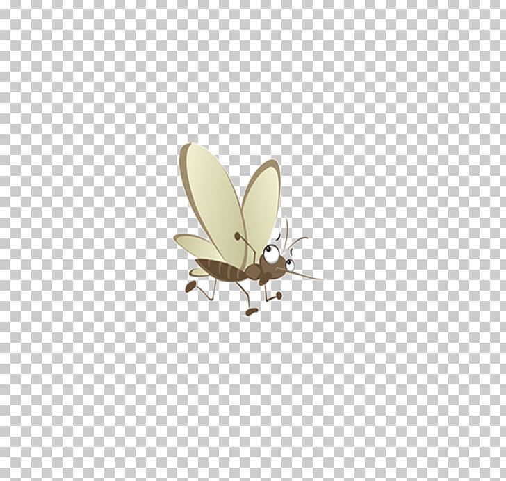 Butterfly Insect Wing Insect Wing Pest PNG, Clipart, Anti Mosquito, Arthropod, Butterflies And Moths, Butterfly, Cartoon Free PNG Download