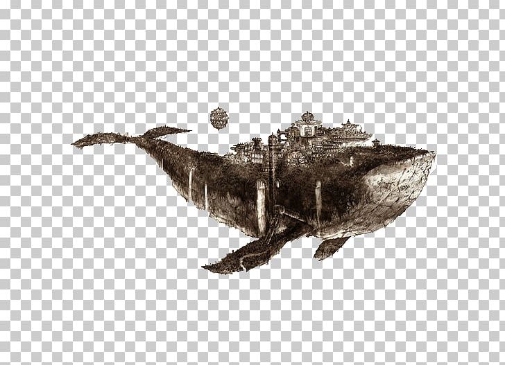 Yerba Buena Island PNG, Clipart, Animals, Baleen Whale, Black And White, Cartoon, Creative Work Free PNG Download