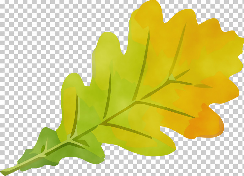 Plane PNG, Clipart, Autumn Leaf, Flower, Green, Leaf, Paint Free PNG Download