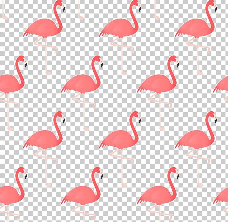 Flamingo Bird Drawing PNG, Clipart, Animals, Background, Beak, Cartoon Flamingo, Download Free PNG Download