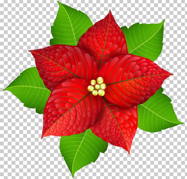 Poinsettia Christmas Flower PNG, Clipart, Christmas, Deco, Desktop Wallpaper, Encapsulated Postscript, Flower Free PNG Download