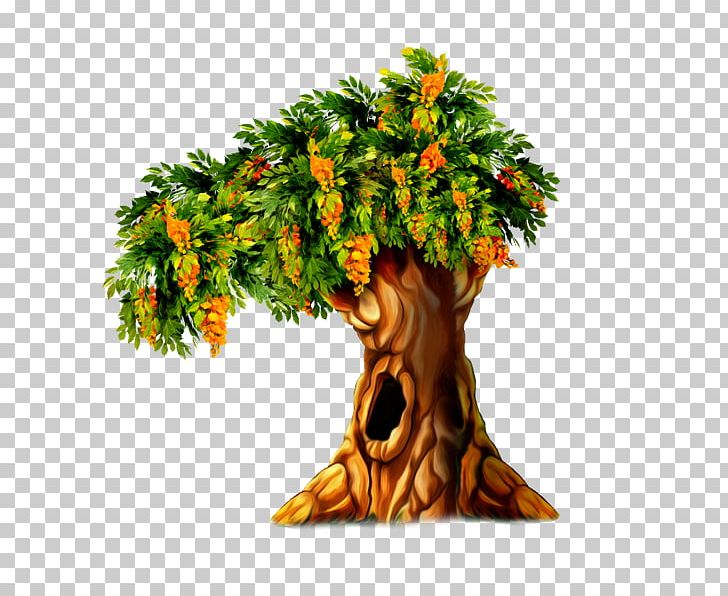 Tree Hollow PNG, Clipart, Agac Resimleri, Arecaceae, Branch, Data, Data Compression Free PNG Download