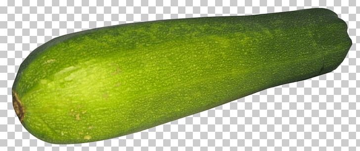 Wax Gourd Cucurbita Pepo Var. Cylindrica Food PNG, Clipart, Computer Icons, Courgette, Cucumber, Cucumber Gourd And Melon Family, Desktop Wallpaper Free PNG Download