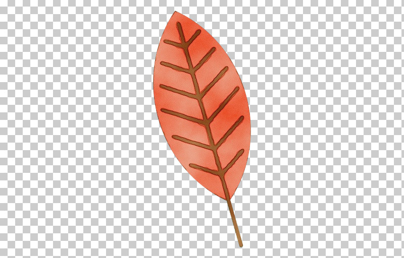 Leaf Science Biology Plant Plant Structure PNG, Clipart, Biology, Leaf, Paint, Plant, Plant Structure Free PNG Download