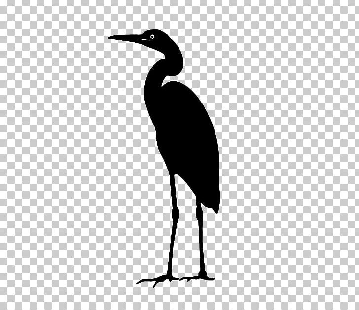 Health Water Bird Disease Chronic Condition PNG, Clipart, Beak, Bird, Bird Icon, Black And White, Charitable Organization Free PNG Download