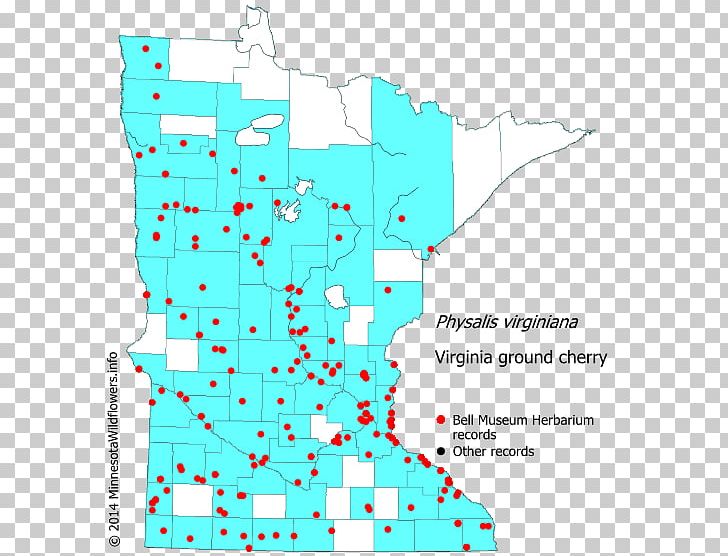 Line Point Angle Map Tuberculosis PNG, Clipart, Angle, Area, Art, Diagram, Line Free PNG Download