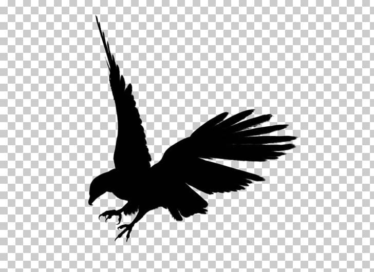 Bald Eagle Silhouette PNG, Clipart, Animals, Art, Bald Eagle, Beak, Bird Free PNG Download