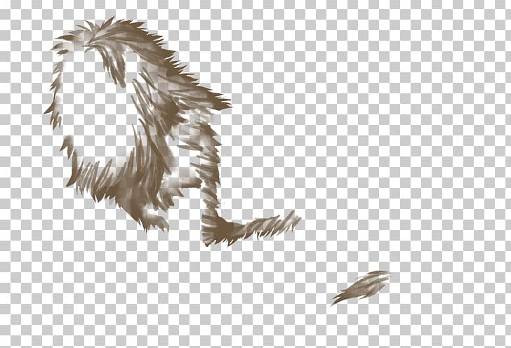 Carnivora Bird Of Prey Feather Fur PNG, Clipart, Bird, Bird Of Prey, Carnivora, Carnivoran, Feather Free PNG Download