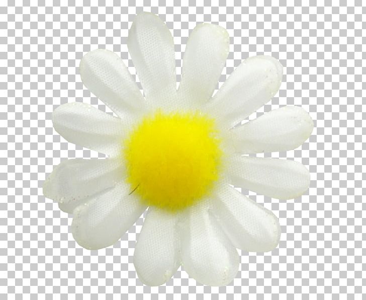 Common Daisy German Chamomile Oxeye Daisy Flower PNG, Clipart, Anthemis, Camomile, Chamomile, Common Daisy, Common Name Free PNG Download