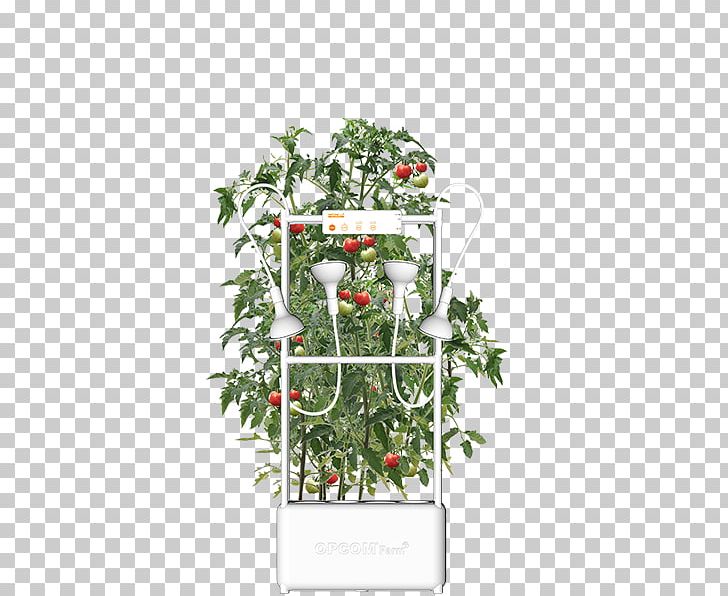 Hydroponics Farm Grow Box Flowerpot Nutrient Film Technique PNG, Clipart, Amazoncom, Cannabis, Celebrity, Farm, Flora Free PNG Download