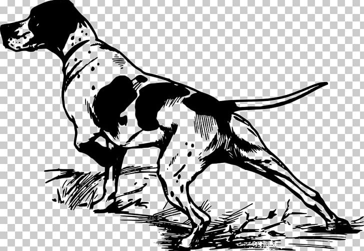 Pointer Greyhound Hunting Dog PNG, Clipart, Animals, Art, Artwork, Bird Dog, Black And White Free PNG Download
