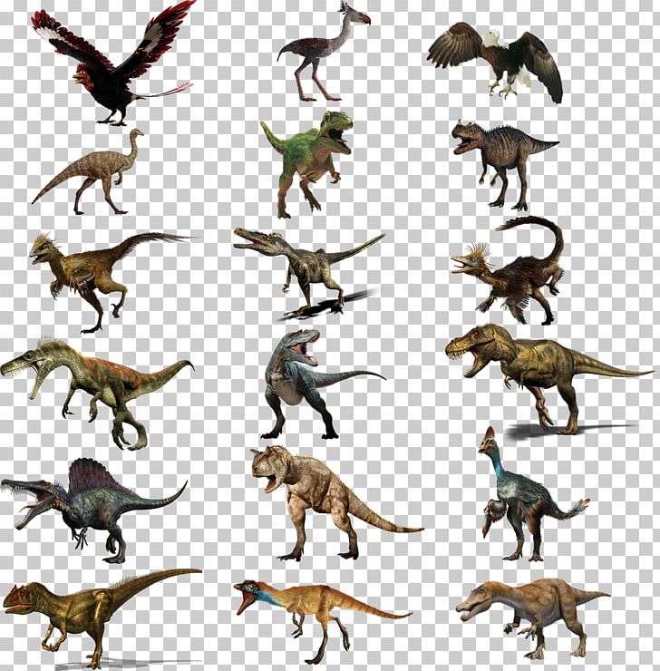 Theropods Thyreophora Tyrannosaurus Postosuchus Cerapoda PNG, Clipart, Animal Figure, Bird, Carnivoran, Dinosaur, Fauna Free PNG Download