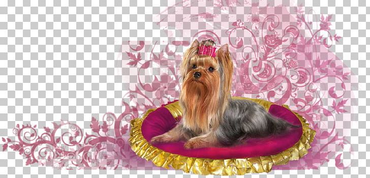 Yorkshire Terrier Puppy Dog Breed Luxury Dogs PNG, Clipart, Beauty Parlour, Breed, Carnivoran, Dog, Dog Breed Free PNG Download