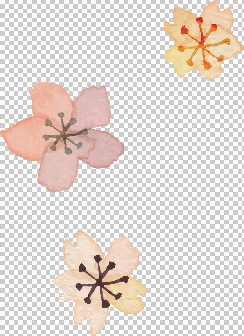 Pink Petal Plant Flower PNG, Clipart, Flower, Petal, Pink, Plant Free PNG Download