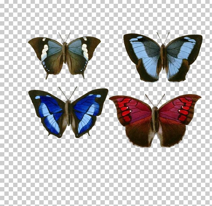 Butterfly Nymphalidae Computer Icons PNG, Clipart, Arthropod, Brush Footed Butterfly, Butterflies, Butterflies And Moths, Butterfly Free PNG Download