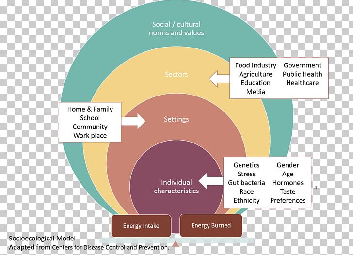 Health Social Ecological Model Food Diet Graphic Design PNG, Clipart, Brand, Communication, Diagram, Diet, Ecological Free PNG Download