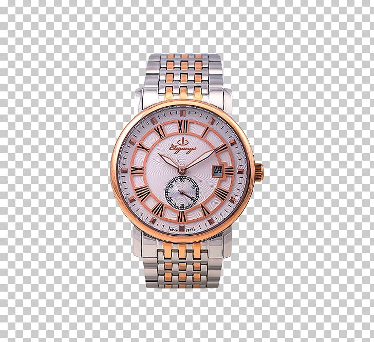 Silver Watch Strap PNG, Clipart, Brand, Clothing Accessories, Jewelry, Metal, Silver Free PNG Download