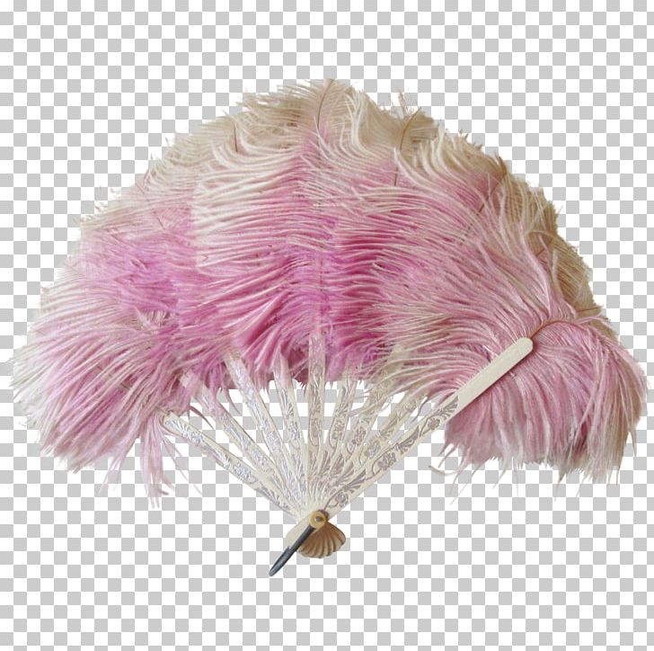 Common Ostrich Feather Boa Purple Lavender PNG, Clipart, Animals, Common Ostrich, Fan, Feather, Feather Boa Free PNG Download
