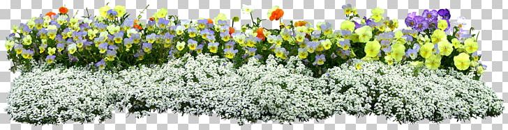 Flower PNG, Clipart, Cut Flowers, Download, Encapsulated Postscript, Flower, Flower Garden Free PNG Download