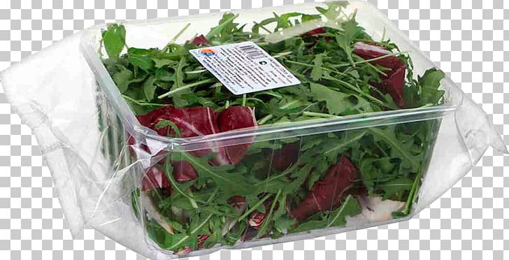 Salad Herb Price Artikel Arugula PNG, Clipart, Artikel, Arugula, Discounts And Allowances, Flowerpot, Herb Free PNG Download