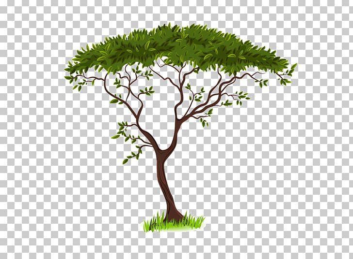 Savanna Silhouette PNG, Clipart, Africa, Branch, Drawing, Flowerpot, Grass Free PNG Download