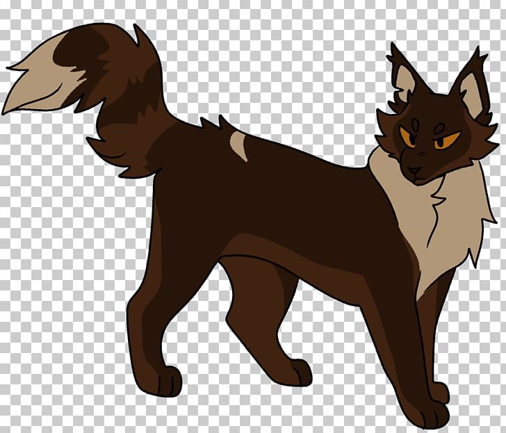 Whiskers Kitten Cat Dog Warriors PNG, Clipart, Animals, Aug, Bitch, Canidae, Carnivoran Free PNG Download