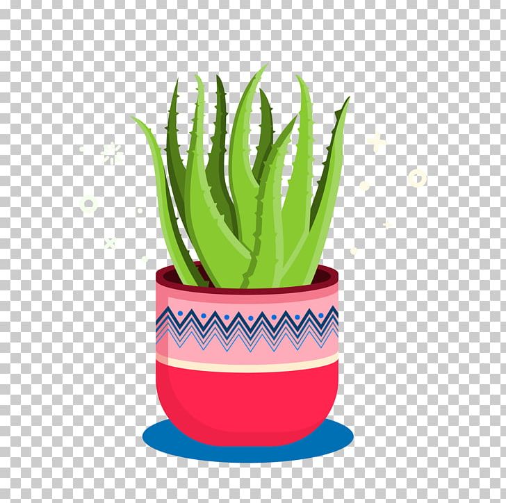 Aloe Vera PNG, Clipart, Adobe Illustrator, Aloe, Aloe Plant, Aloe Vector, Aloe Vera Free PNG Download