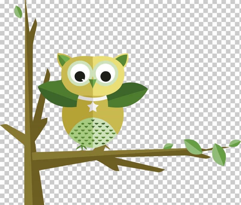Owl Green Branch Cartoon Bird PNG, Clipart, Bird, Bird Of Prey, Branch, Cartoon, Cartoon Owl Free PNG Download