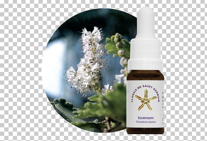 Bach Flower Remedies Health Natupoint Estoque PNG, Clipart, Allium, Aroma, Aura, Bach Flower Remedies, Beauty Free PNG Download