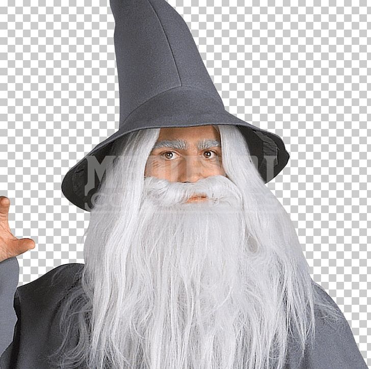 Gandalf The Lord Of The Rings: The Fellowship Of The Ring Frodo Baggins Costume The Hobbit PNG, Clipart, Albus Dumbledore, Beard, Burtininkas, Character, Costume Free PNG Download