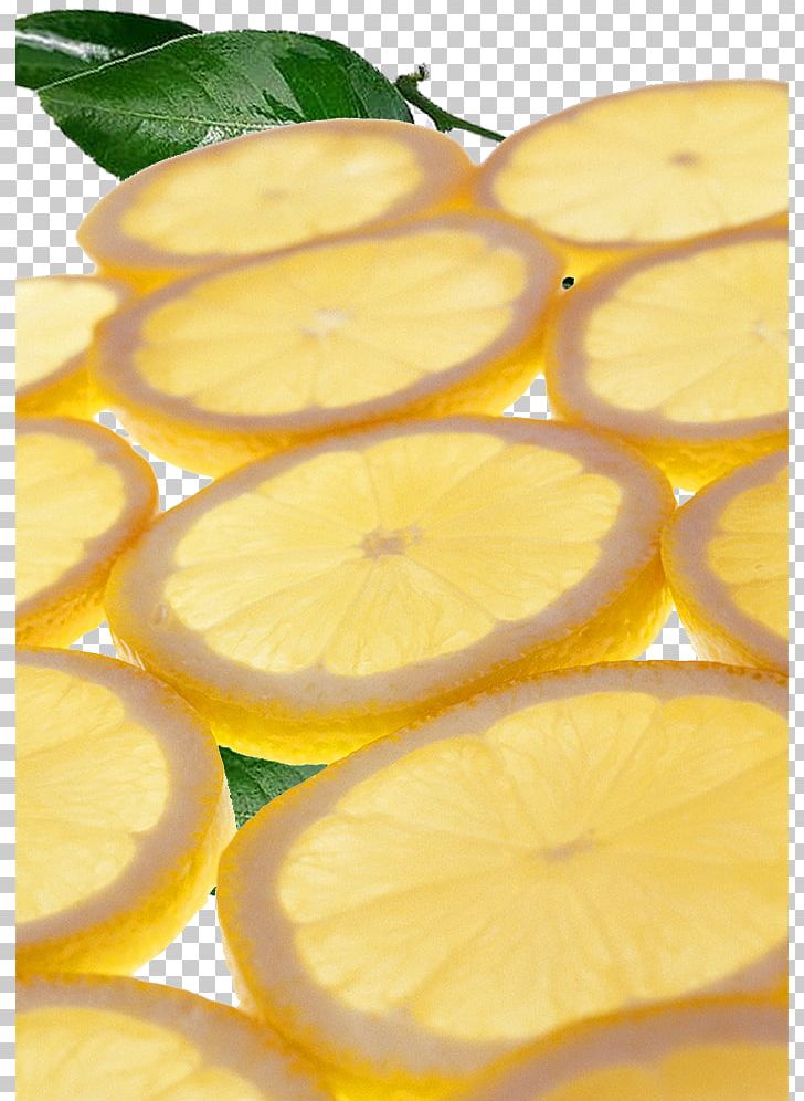 Lemonade Lemon-lime Drink PNG, Clipart, Citrus, Creative Ads, Creative ...