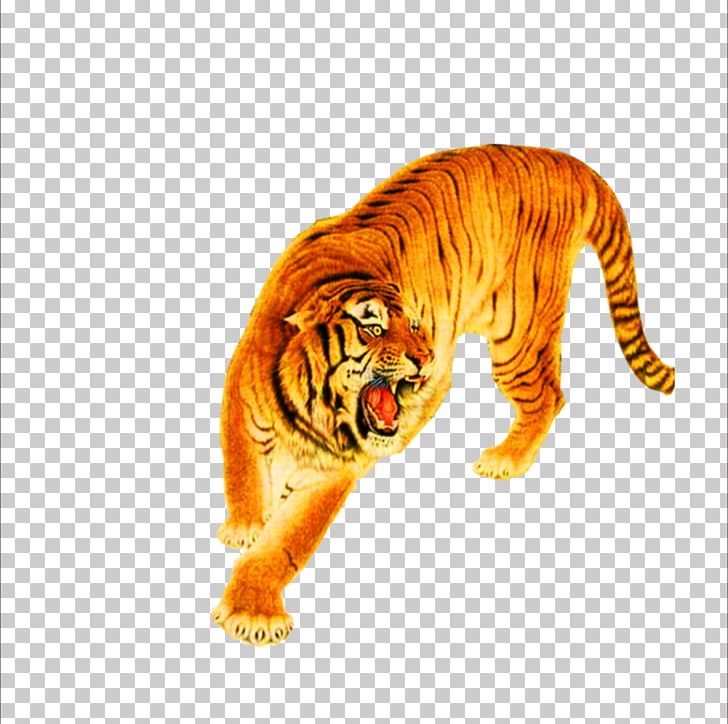 Tiger Lion Cat Leopard PNG, Clipart, Animal, Animals, Big Cat, Big Cats, Carnivoran Free PNG Download